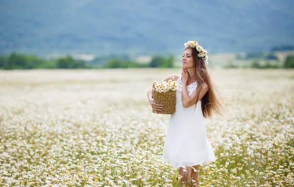 Field, girl, flowers, basket, chamomile, brown hair
