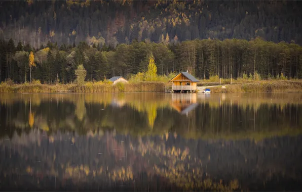 Autumn, forest, water, mountains, nature, comfort, lake, reflection