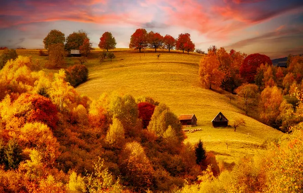 Autumn, forest, the sky, clouds, light, trees, nature, hills