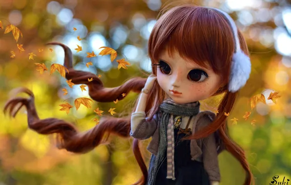 Picture autumn, leaves, hair, doll, girl, red