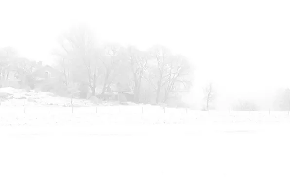 Picture light, nature, fog