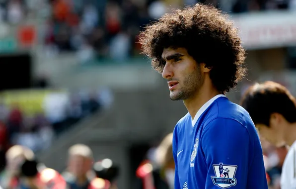 Picture football, sport, football, Sport, Everton, Everton, Fellaini, Fellaini