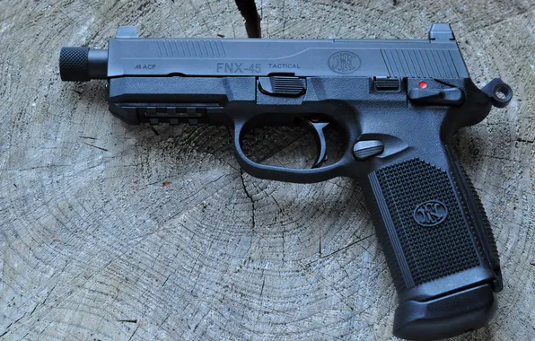 Picture gun, weapons, Tactical, FNX-45