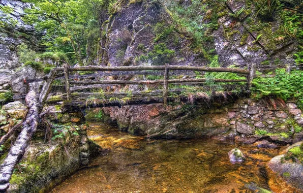 Forest, bridge, stream, stones, treatment, Spain, the bushes, Asturias
