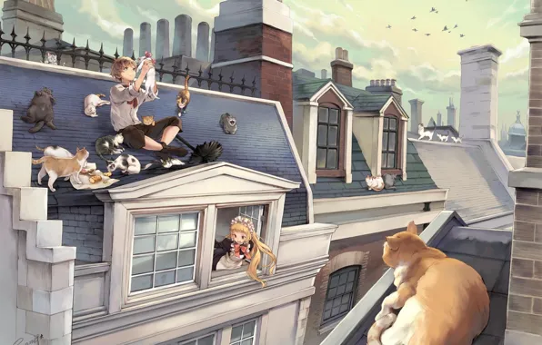 Picture roof, cat, the sky, the city, bird, boy, pipe, a lot