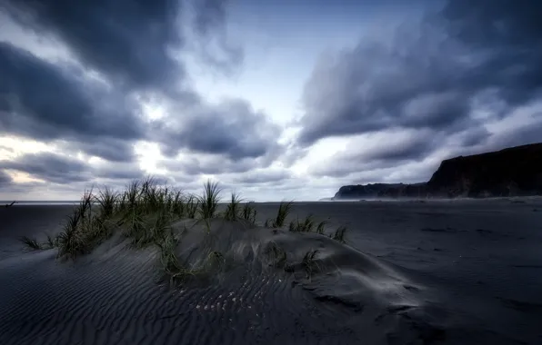 Picture New Zealand, Last Light, Karekare Beach, Black Sand