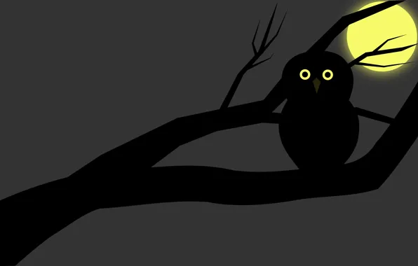 Owl, graphics, minimalism