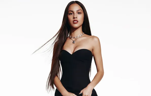 Look, girl, model, hair, dress, brunette, lips, beautiful