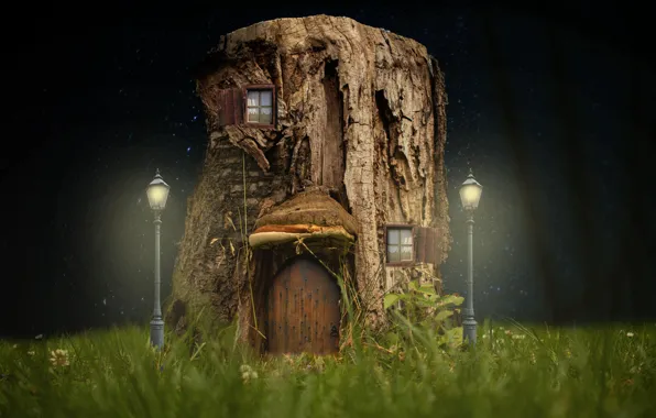 Picture grass, night, stump, lights, house
