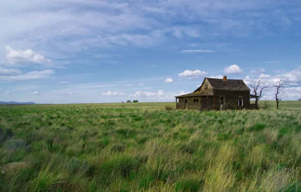 Field, nature, house, Oregon, The Middle of Nowhere