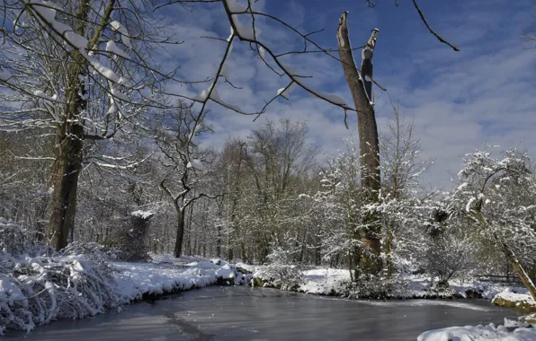 Winter, snow, trees, landscape, nature, river, ice, beauty