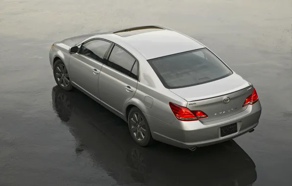 Picture surface, Toyota, 2009, Avalon