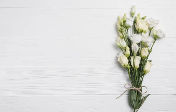 Flowers, bouquet, White background, Eustoma