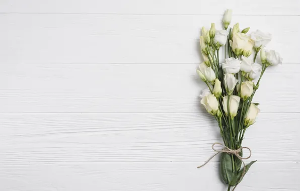 Picture Flowers, bouquet, White background, Eustoma