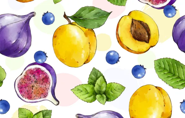 Background, vector, texture, apricots, figs, repetition