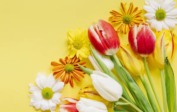 Picture flowers, spring, colorful, Easter, tulips, wood, flowers, tulips