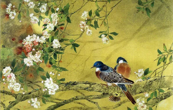 Flowers, birds, branch, spring
