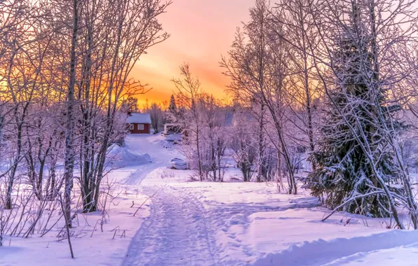 Picture winter, forest, snow, sunset, house