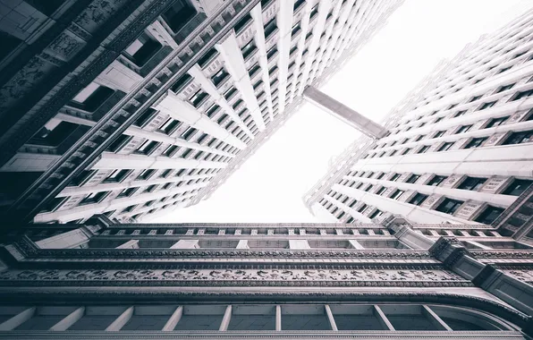The building, architecture, bottom view