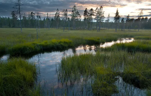 Field, landscape, sunset, nature, river