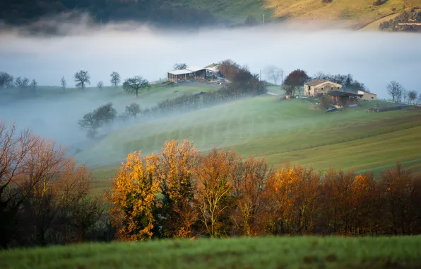 Picture field, trees, mountains, fog, house, morning, Italy, province of Macerata