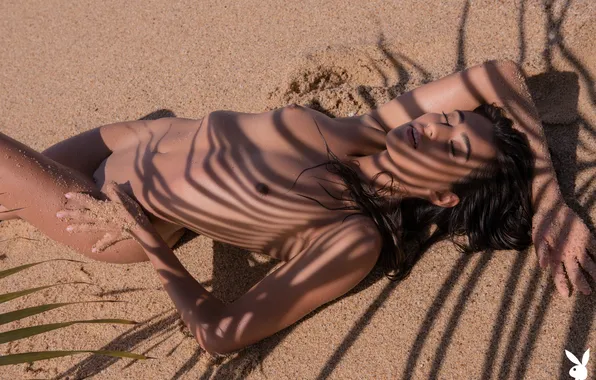 Playboy, beach, nipples, boobs, sand, nude, erotic, naked