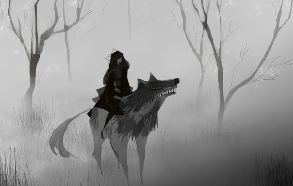 Picture cold, predator, mouth, fangs, grin, black and white, Little Red Riding Hood, Grey Wolf