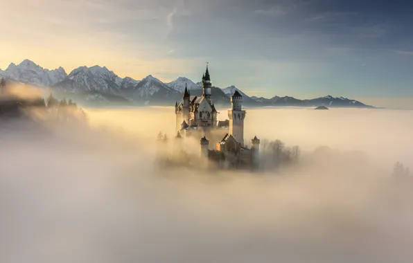 Forest, the sky, light, mountains, fog, castle, dawn, the slopes