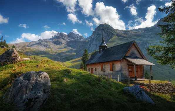 The sky, grass, clouds, mountains, branches, house, blue, stones