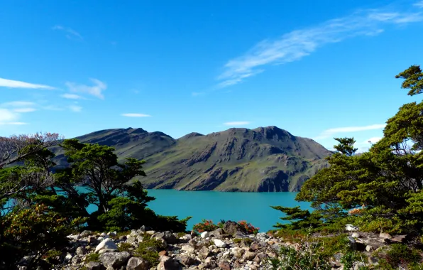 Mountains, lake, stones, the bushes, Argentina, Patagonia