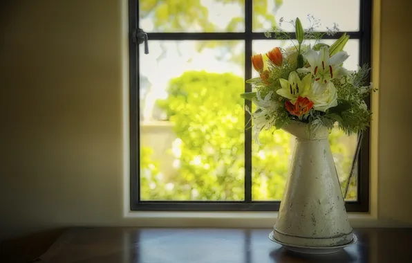 Flowers, background, window