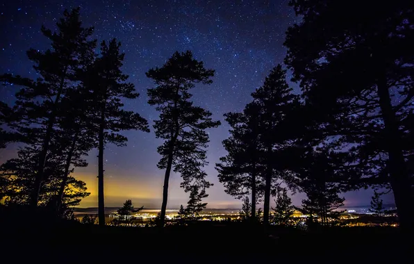 Trees, night, lights, silhouette, Sweden