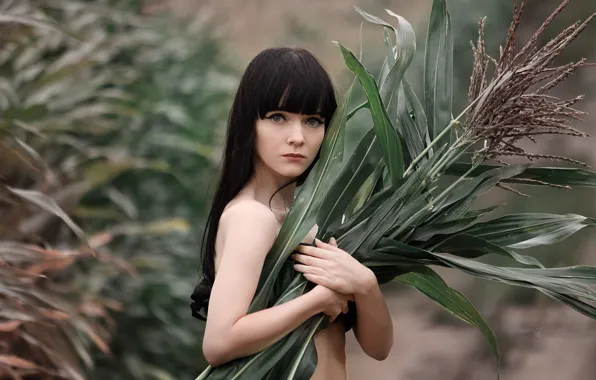 Picture look, girl, sweetheart, portrait, corn, brunette, light, the beauty