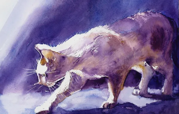 Cats, figure, gouache