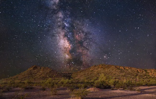 Stars, the fence, hill, The Milky Way, secrets