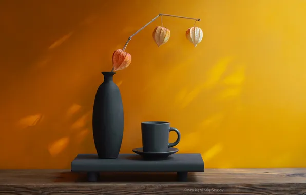 Flower, vase, physalis, Still life, yellow wall, Vitaly Stasov, Physalis and a cup