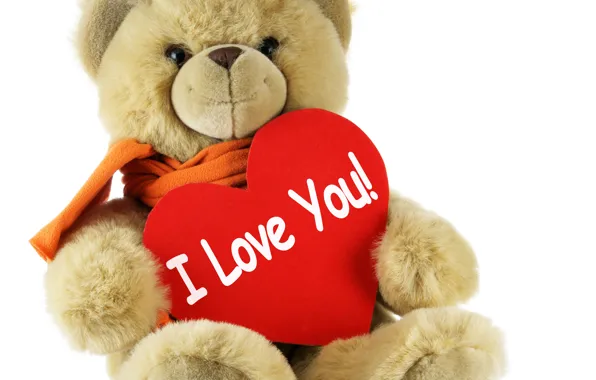 Love, toy, heart, bear, bear, Valentines Day, Valentine's day, Teddy