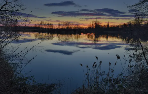 Winter, the sky, grass, water, clouds, trees, sunset, reflection