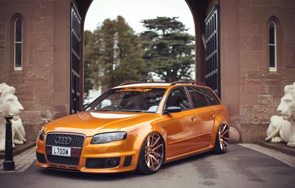 Audi, gold, quattro, tuning, orange, germany, low, stance