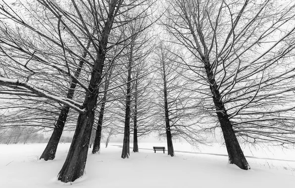Winter, the city, Park, bench