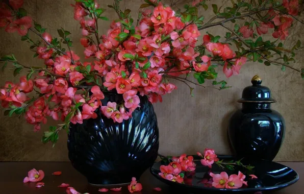 Flowers, still life, beautiful