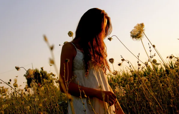 Field, summer, girl