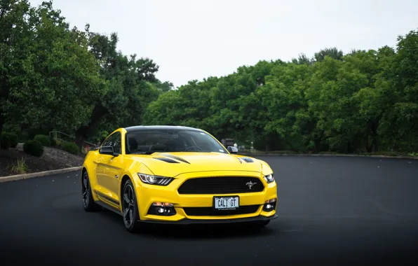 Picture Mustang, California, Forf