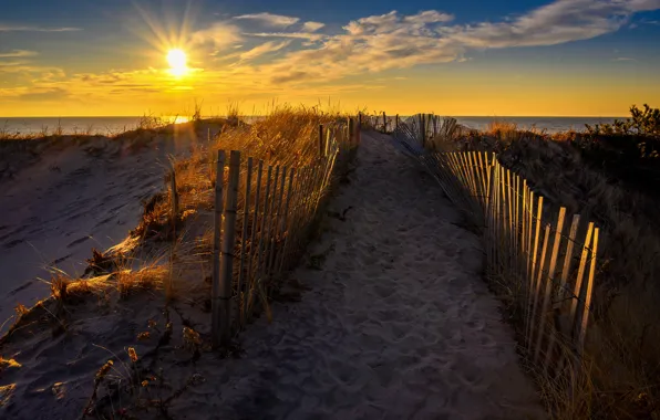 Picture sea, beach, shore