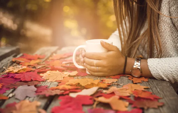 Autumn, leaves, girl, Park, colorful, Cup, girl, maple