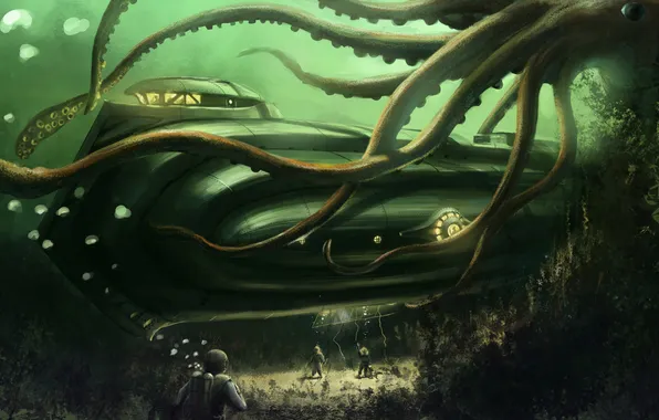 Picture algae, the ocean, boat, the bottom, octopus, divers, underwater, giant