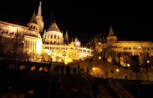 Light, castle, Budapest