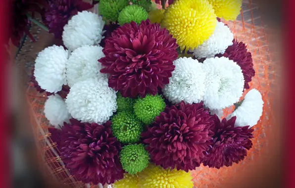 Autumn, bouquet, vignette