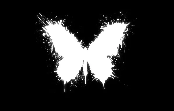 Picture white, style, butterfly, black, blot, the accident, good luck, paint