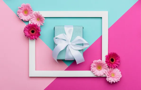 Flowers, background, pink, holiday, box, gift, blue, triangles